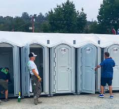 Types of Portable Toilets We Offer in Black Point Green Point, CA